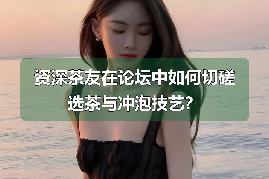 资深茶友在论坛中如何切磋选茶与冲泡技艺？